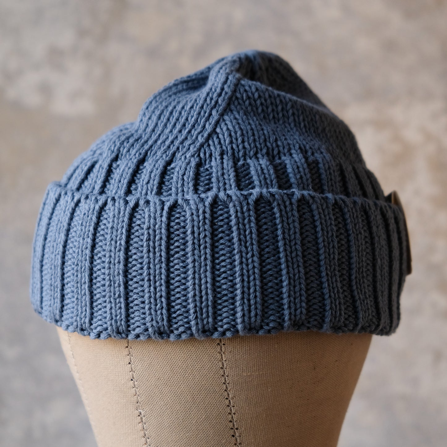 THE H.W.DOG&CO_D-01048_RC WATCH_BLUE