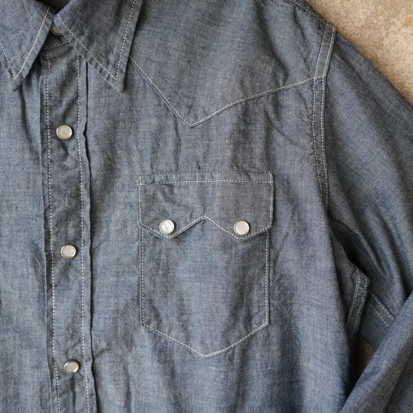 WORKERS_Cats Family Western Shirt_Chambray