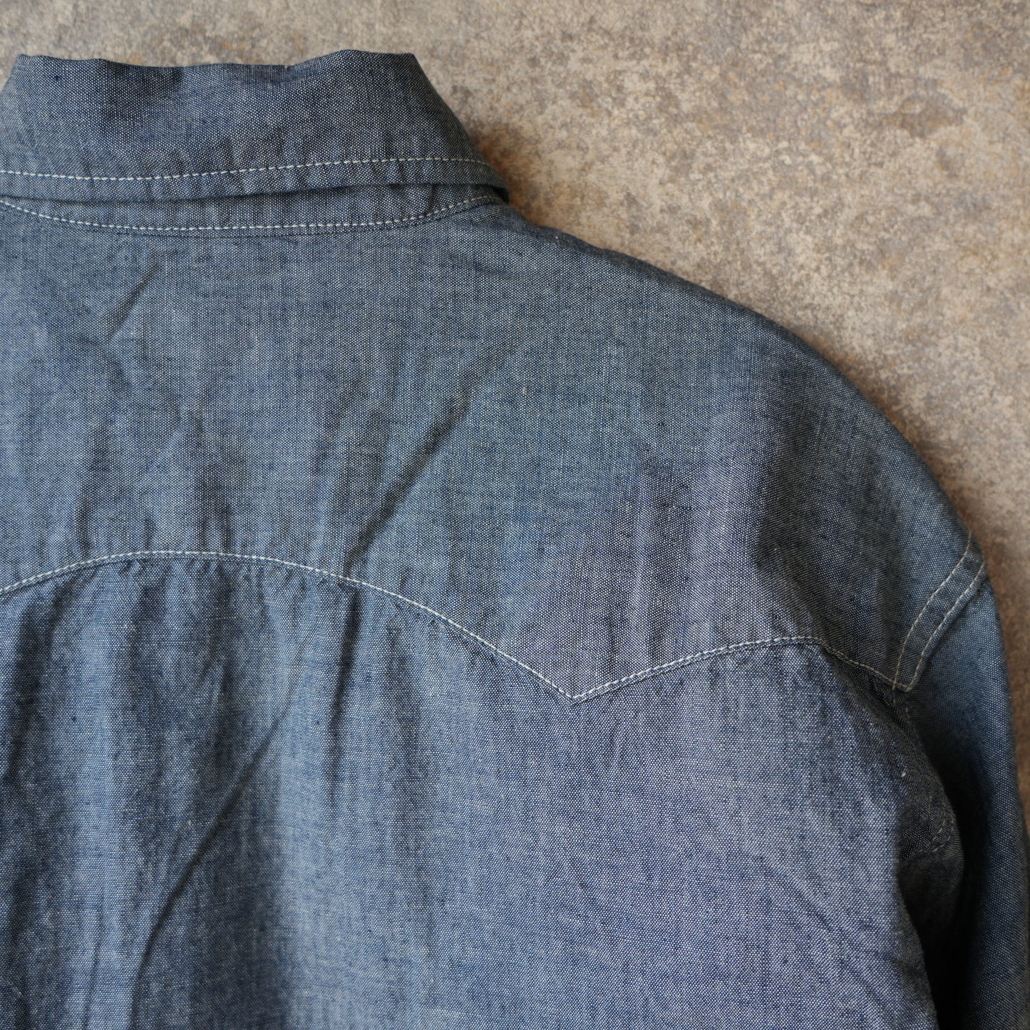 WORKERS_Cats Family Western Shirt_Chambray