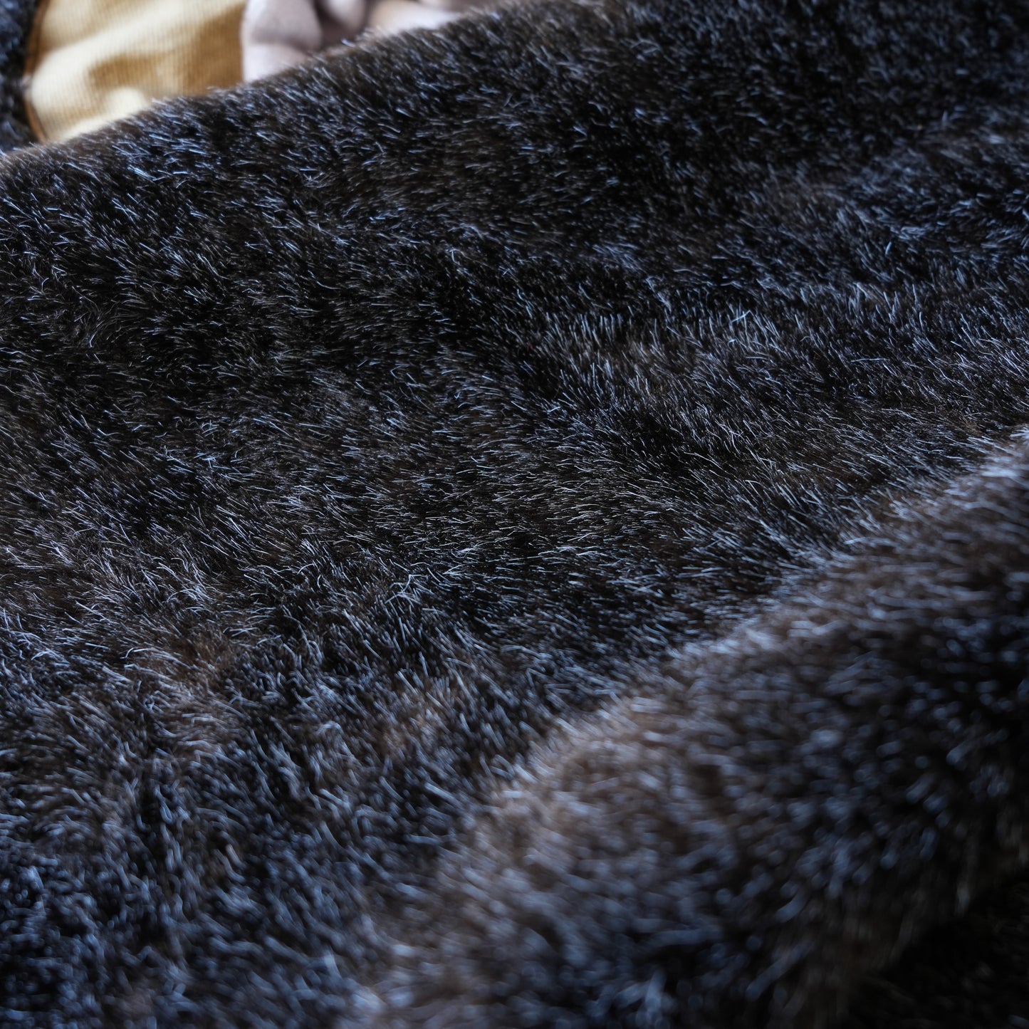 UES_915D-SH_11_2_ショート丈デッキジャケット_キャメル