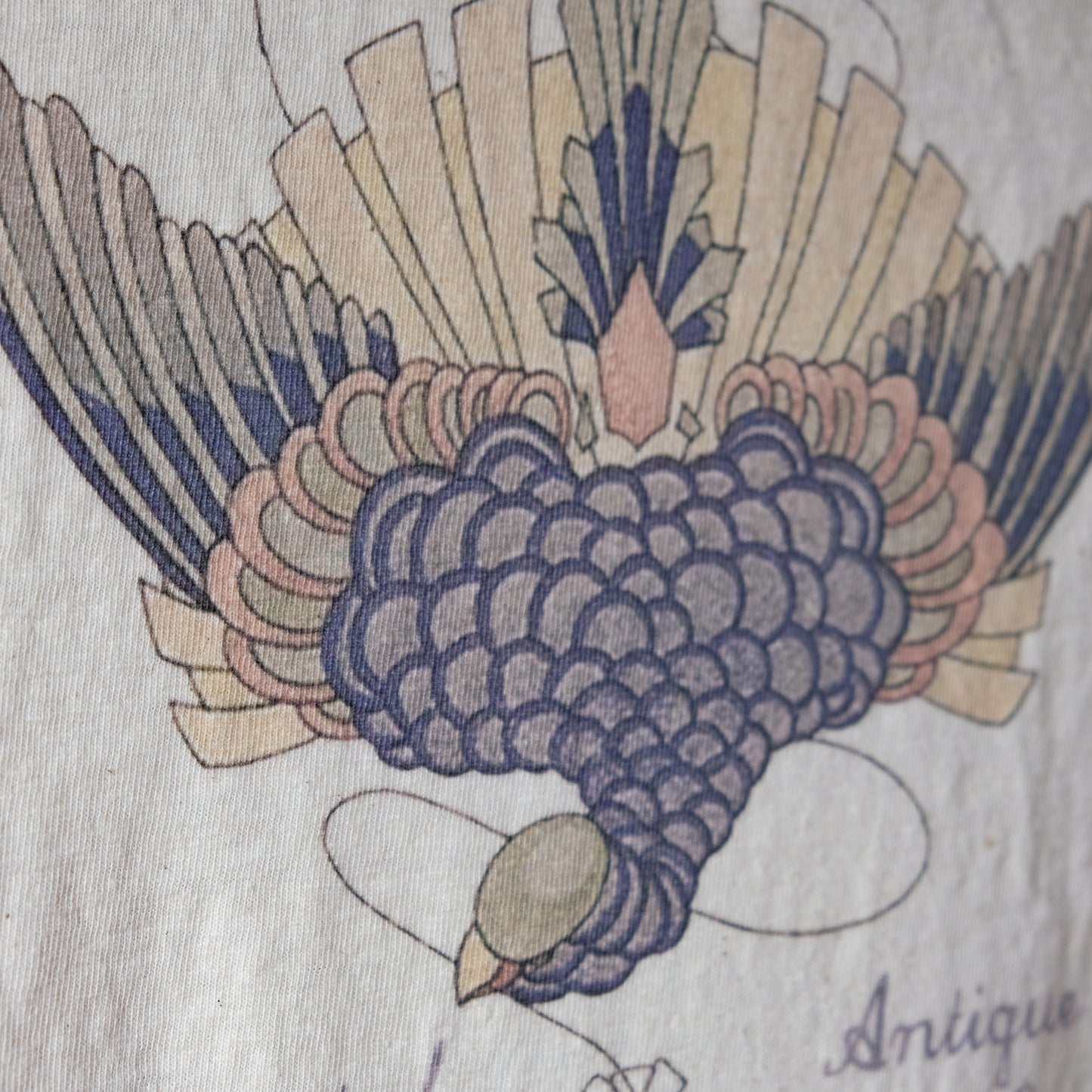 DALEE'S＆CO_ORT2025-B_鏡燕