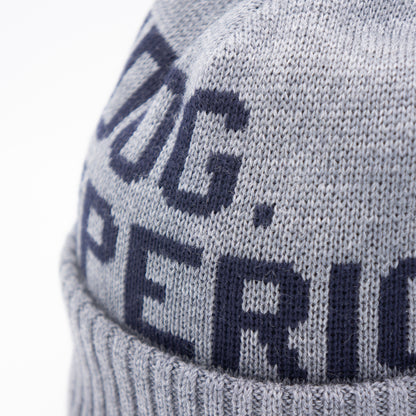 DIE HWDOG&amp;CO_D-00813_FACEMASK BEANIE_Grau