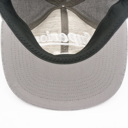 THE H.W.DOG＆CO_SUPERIOR LOGO BASE BALL CAP_Gray